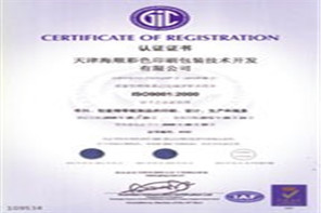 Iso9000国际质量体系认证