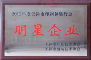 明星企业2012年