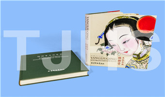 中国出版政府奖-《杨柳青